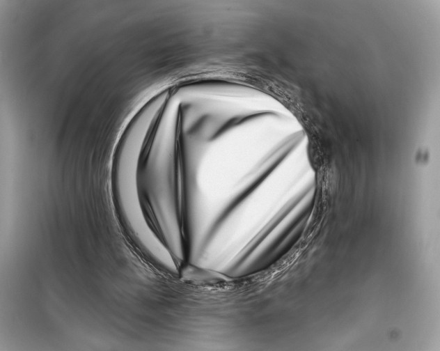 X0000098170148200805221523