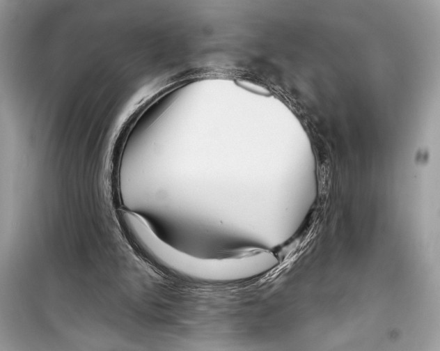 X0000098170150200805221523