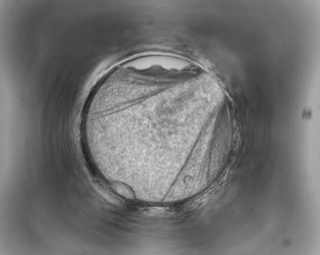 X0000098170151200805221523