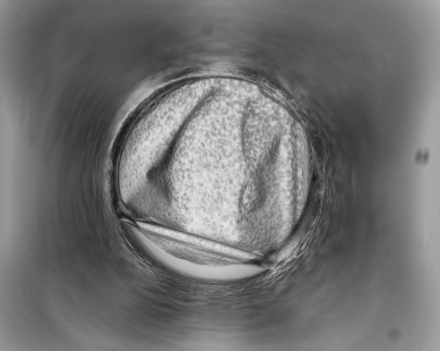 X0000098170152200805221523