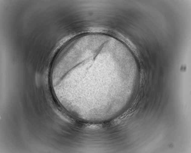 X0000098170155200805221523