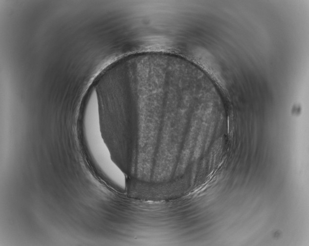 X0000098170156200805221523