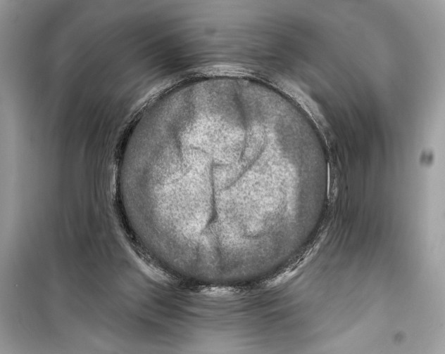 X0000098170157200805221523