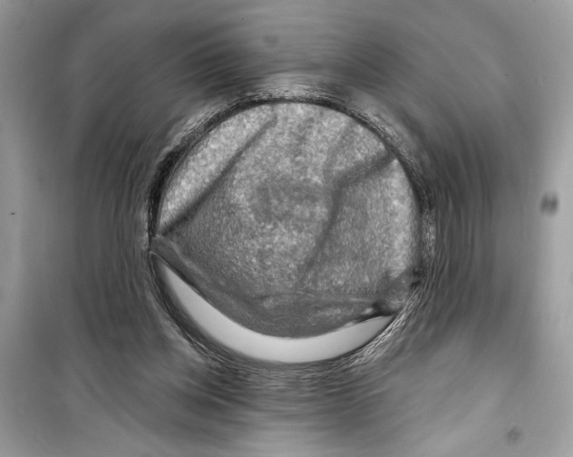 X0000098170158200805221523