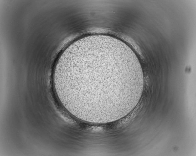 X0000098170159200805221523