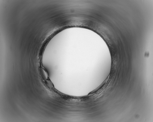 X0000098170160200805221523