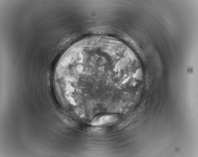 X0000098170161200805221523