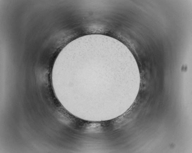 X0000098170162200805221523