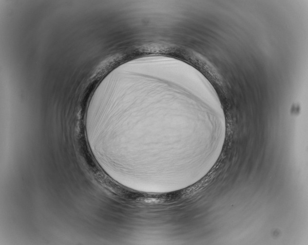 X0000098170163200805221523