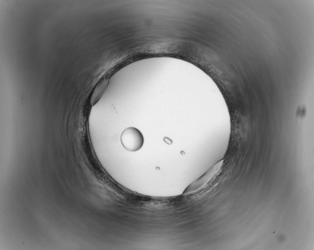 X0000098170164200805221523