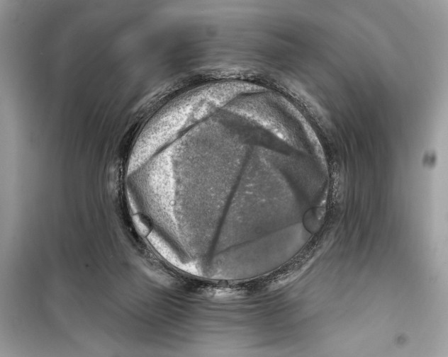 X0000098170165200805221523