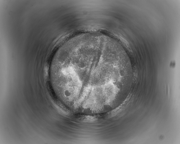 X0000098170166200805221523