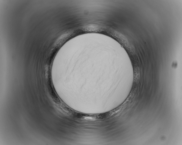 X0000098170167200805221523