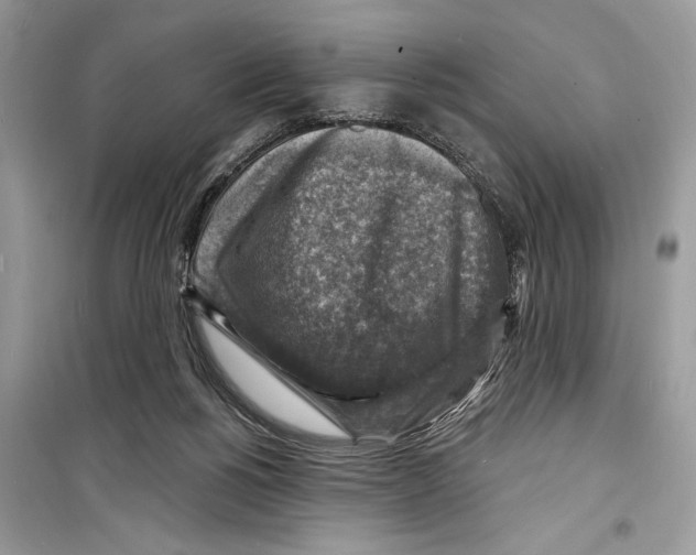 X0000098170168200805221523