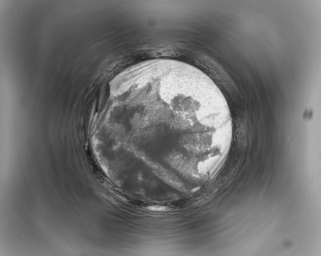 X0000098170169200805221523