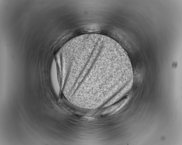 X0000098170170200805221523