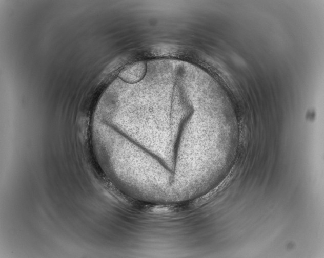 X0000098170171200805221523