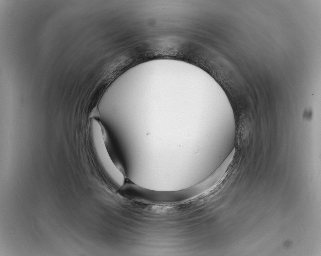 X0000098170172200805221523