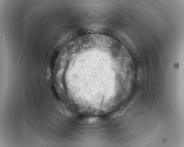 X0000098170173200805221523