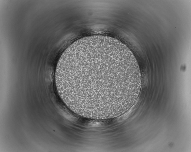 X0000098170174200805221523