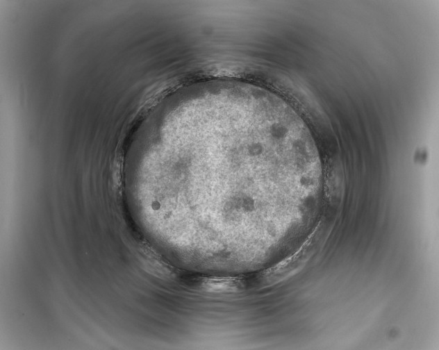 X0000098170175200805221523