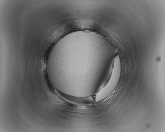 X0000098170176200805221523