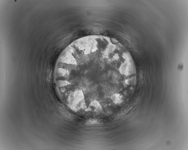 X0000098170177200805221523