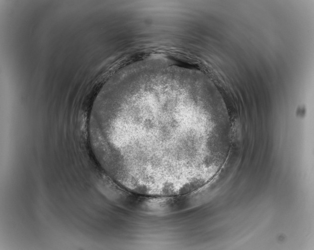 X0000098170178200805221523