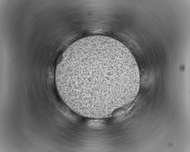 X0000098170179200805221523