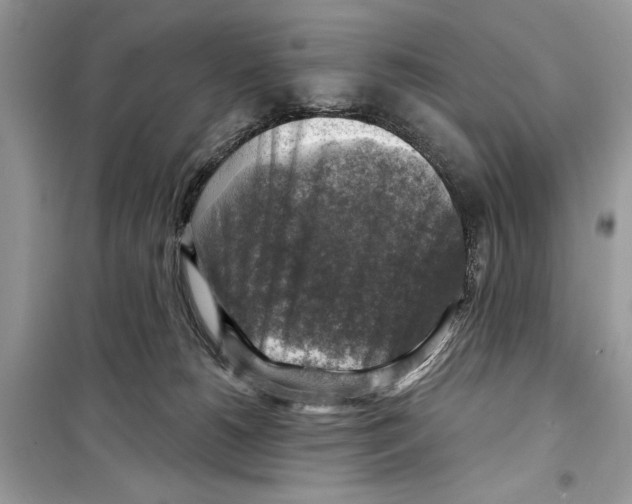 X0000098170180200805221523