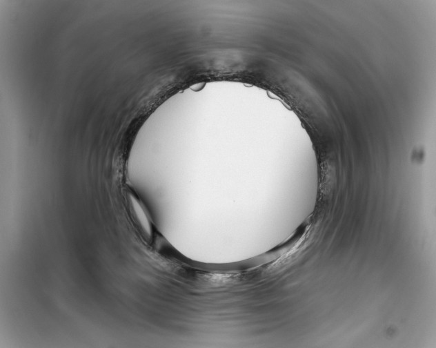 X0000098170184200805221523