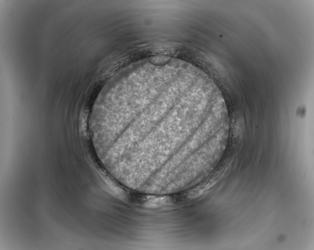 X0000098170185200805221523