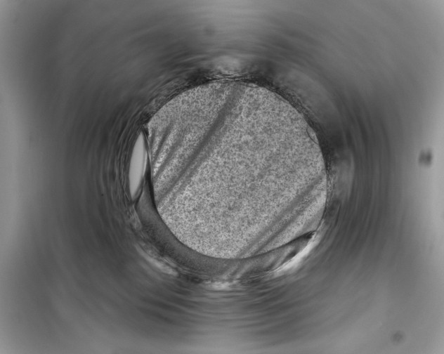 X0000098170186200805221523