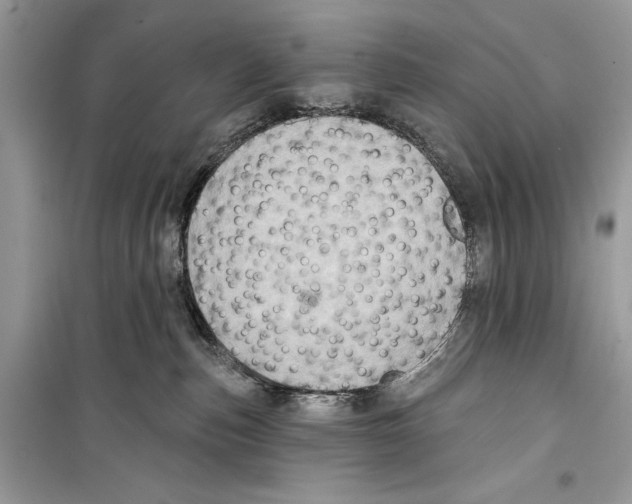 X0000098170187200805221523