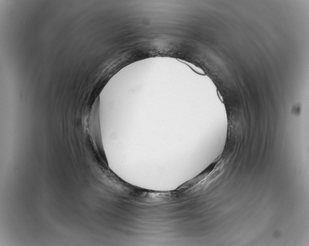 X0000098170188200805221523