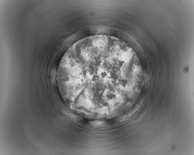 X0000098170189200805221523