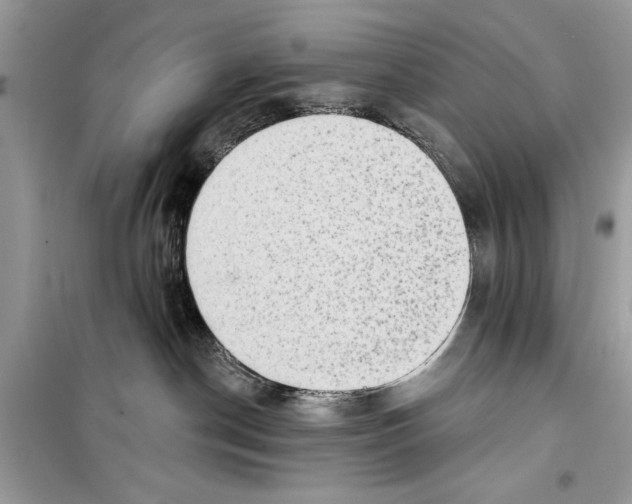 X0000098170190200805221523