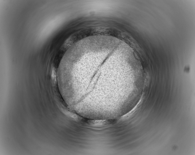 X0000098170191200805221523