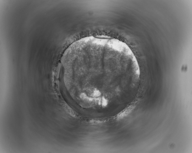 X0000098170192200805221523