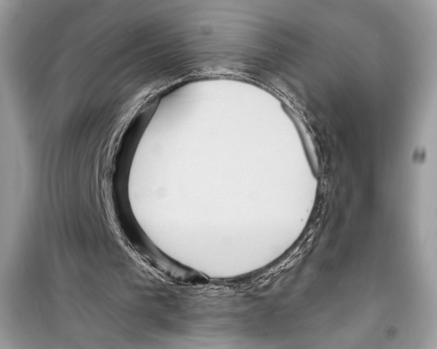 X0000098170193200805221523