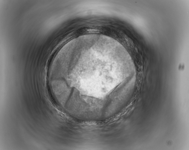 X0000098170194200805221523