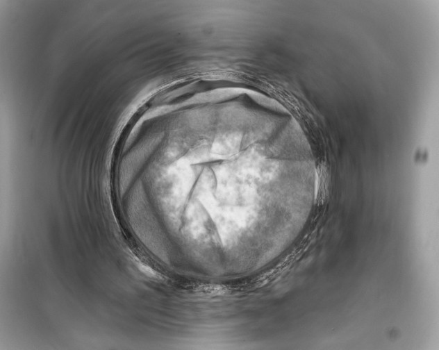 X0000098170195200805221523