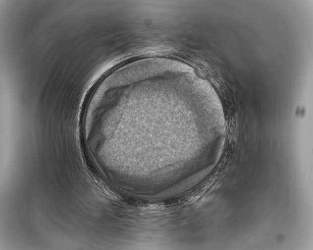 X0000098170196200805221523