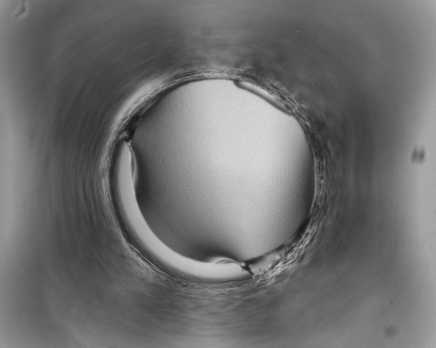 X0000098170197200805221522