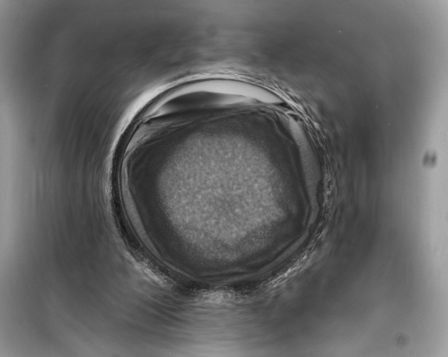 X0000098170200200805221522