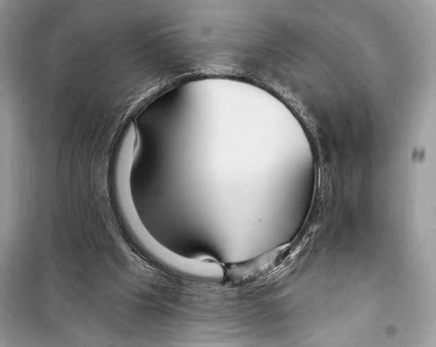 X0000098170201200805221522