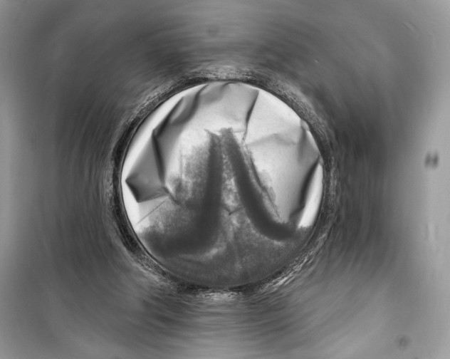 X0000098170202200805221522