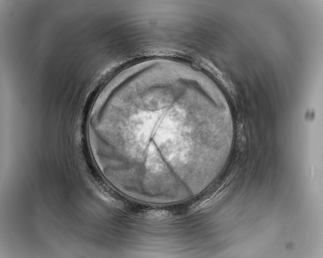 X0000098170203200805221522