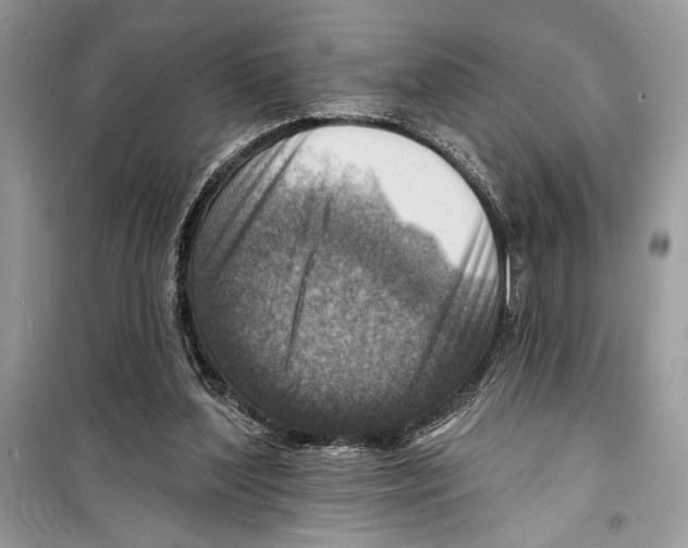 X0000098170204200805221522