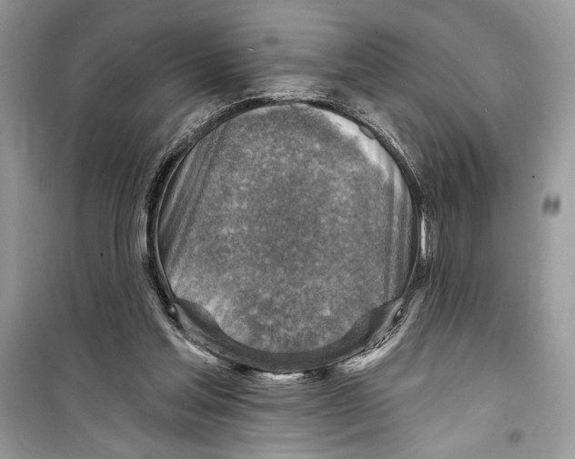 X0000098170205200805221522